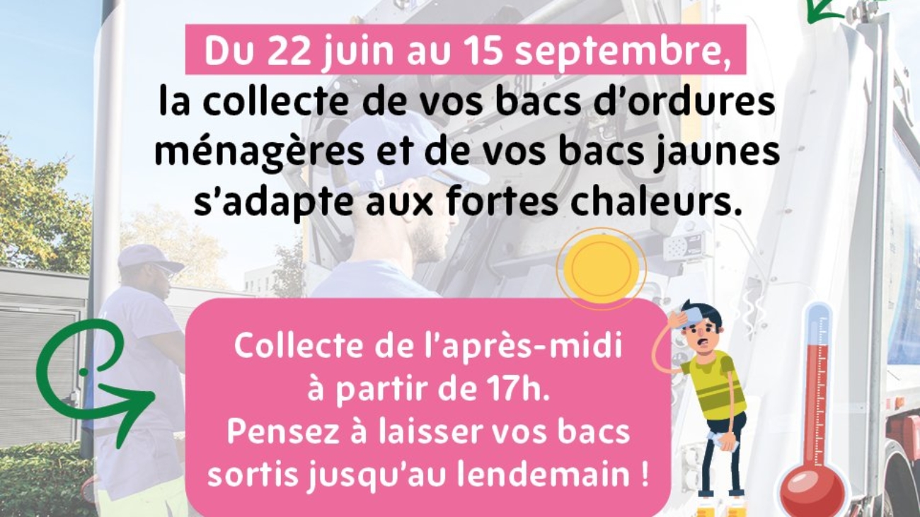 392c36a4b1da9568d432c1a332f8c80a_collecte-d